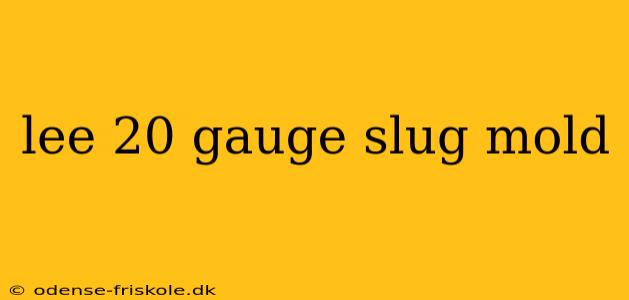 lee 20 gauge slug mold