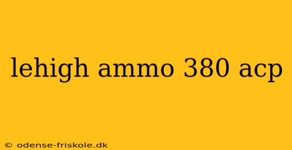 lehigh ammo 380 acp