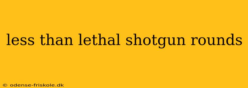 less than lethal shotgun rounds