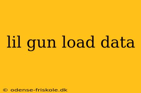 lil gun load data