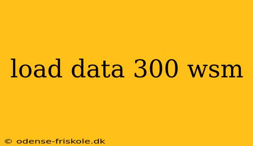 load data 300 wsm