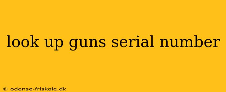 look up guns serial number