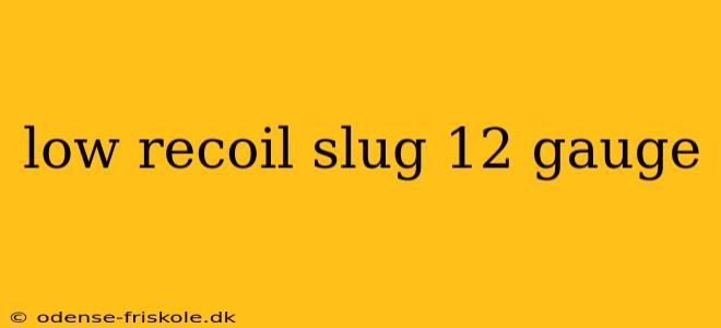 low recoil slug 12 gauge