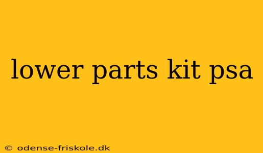 lower parts kit psa