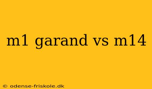 m1 garand vs m14