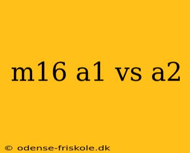 m16 a1 vs a2