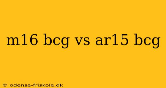 m16 bcg vs ar15 bcg