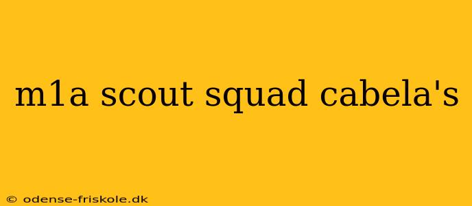 m1a scout squad cabela's