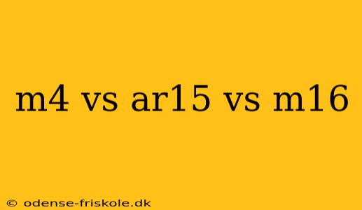 m4 vs ar15 vs m16