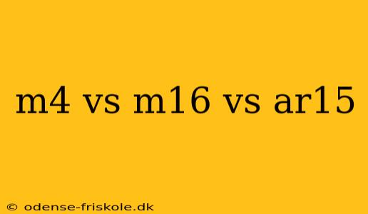 m4 vs m16 vs ar15