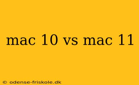 mac 10 vs mac 11