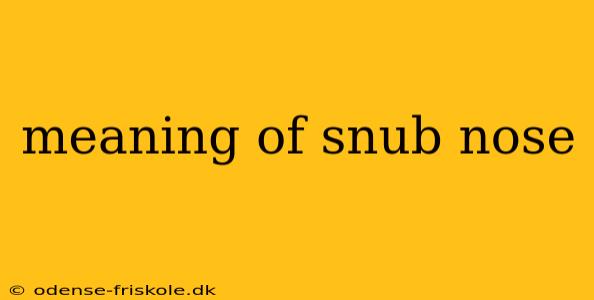 meaning of snub nose