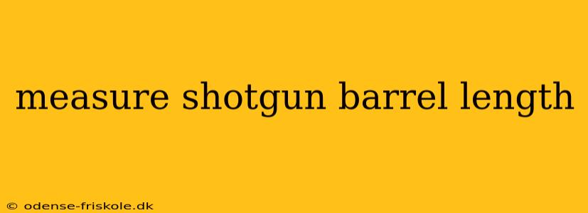 measure shotgun barrel length