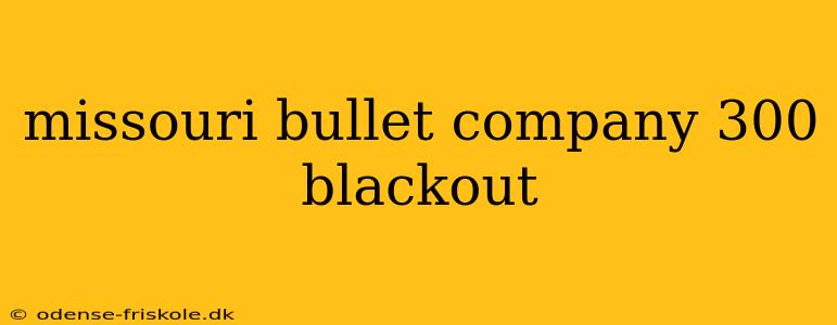 missouri bullet company 300 blackout