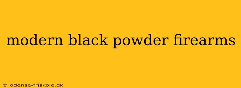 modern black powder firearms