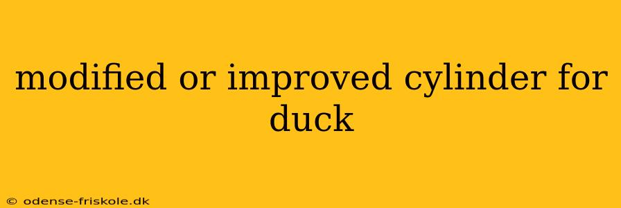 modified or improved cylinder for duck