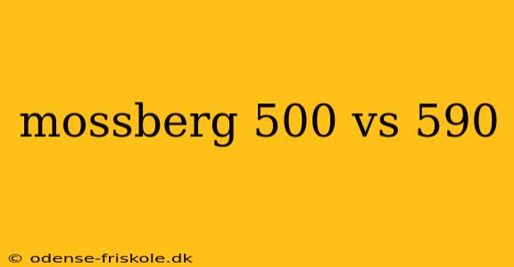 mossberg 500 vs 590