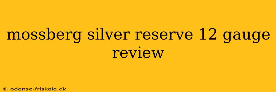 mossberg silver reserve 12 gauge review