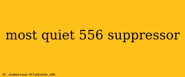 most quiet 556 suppressor