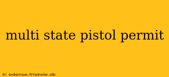 multi state pistol permit