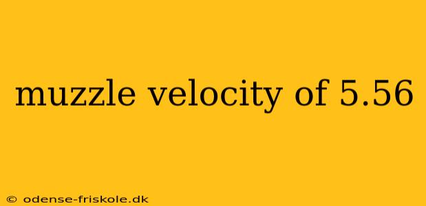 muzzle velocity of 5.56