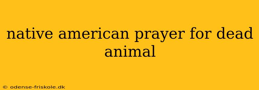 native american prayer for dead animal