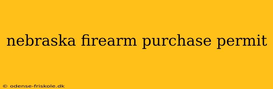 nebraska firearm purchase permit