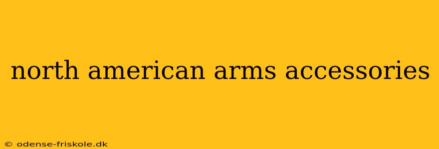 north american arms accessories