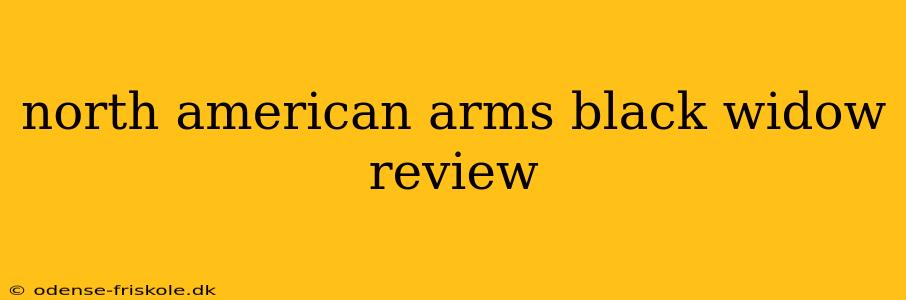 north american arms black widow review