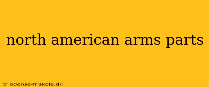 north american arms parts