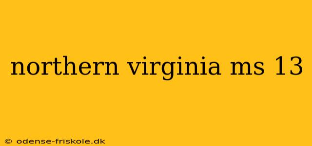 northern virginia ms 13