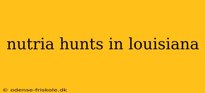 nutria hunts in louisiana