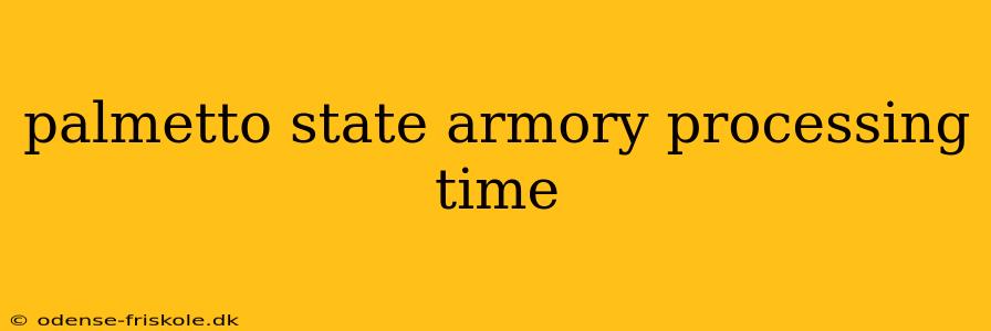 palmetto state armory processing time