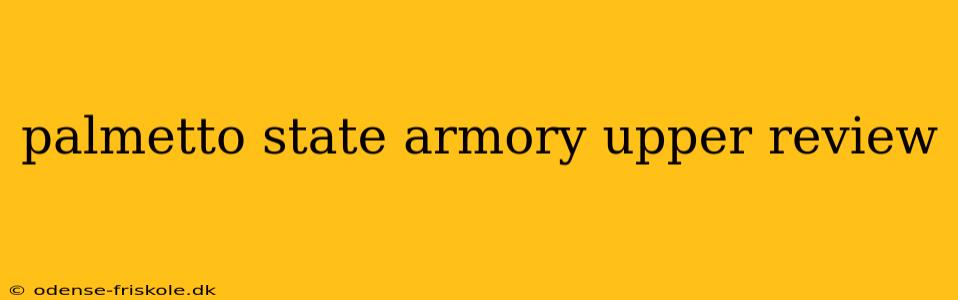 palmetto state armory upper review