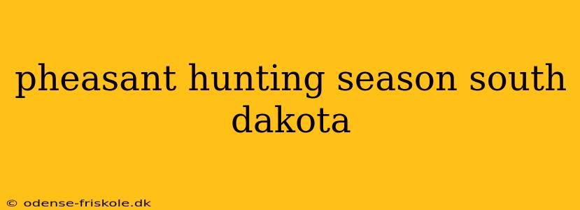 pheasant hunting season south dakota