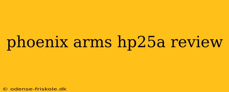 phoenix arms hp25a review