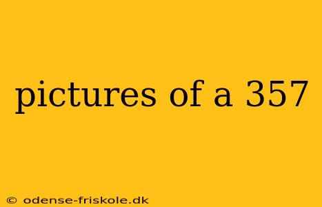 pictures of a 357