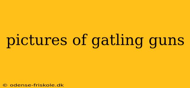 pictures of gatling guns