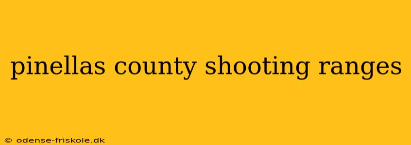 pinellas county shooting ranges