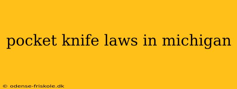 pocket knife laws in michigan