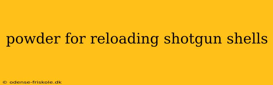 powder for reloading shotgun shells