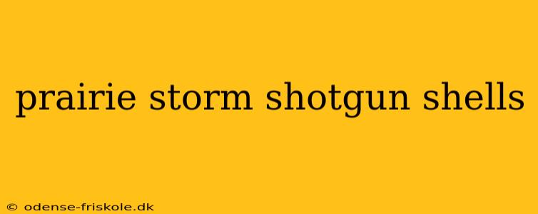 prairie storm shotgun shells