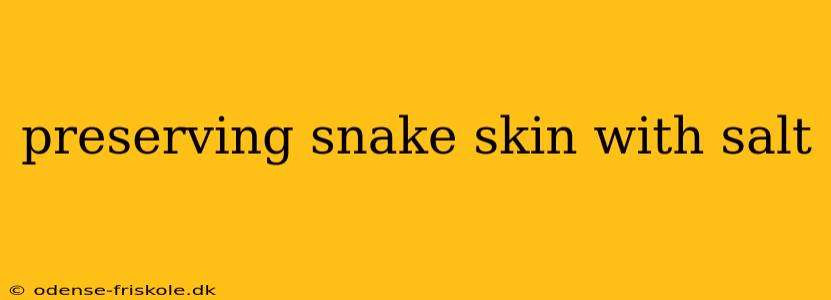 preserving snake skin with salt