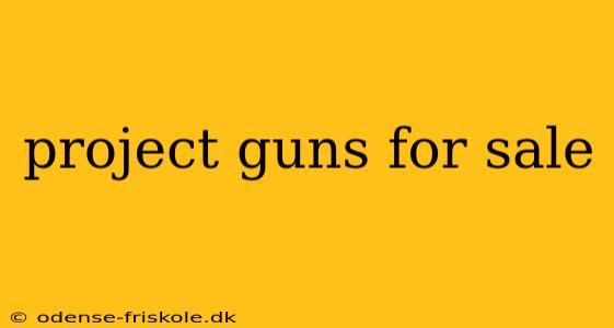 project guns for sale