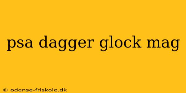 psa dagger glock mag