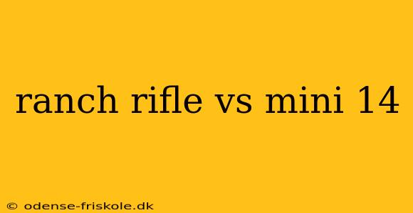 ranch rifle vs mini 14