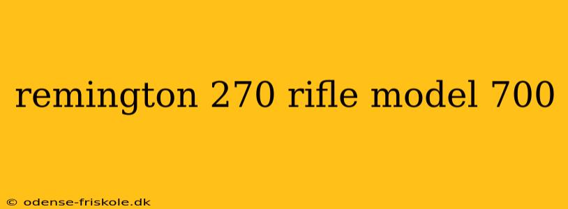 remington 270 rifle model 700