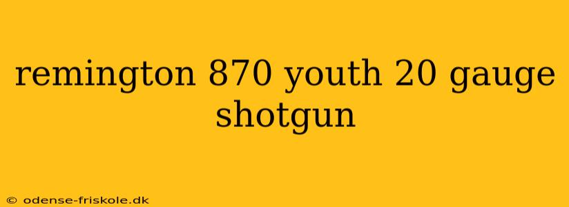 remington 870 youth 20 gauge shotgun