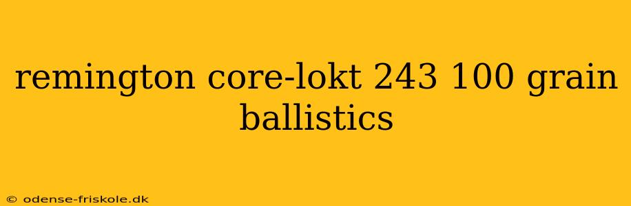 remington core-lokt 243 100 grain ballistics