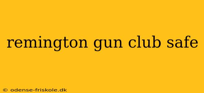 remington gun club safe